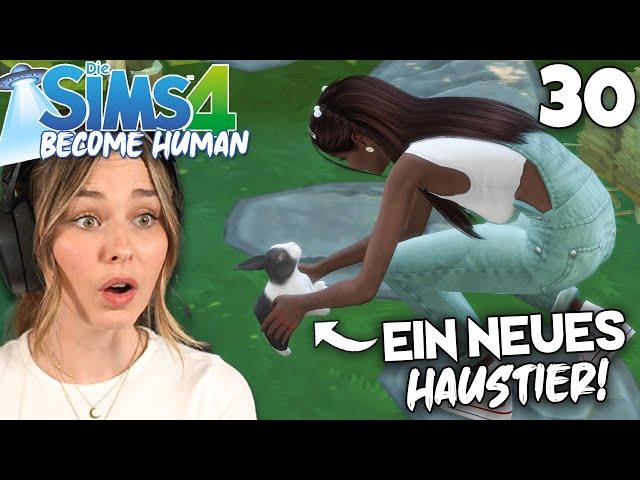 Ein HASE für den Blumenhase!  - Die Sims 4 Become Human Part 30 | simfinity