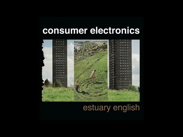 Estuary English - Consumer Electronics (2014) Full Album