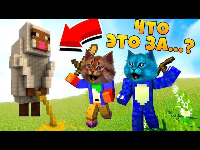 ЖИЗНЬ КОТИКА НУБА ! МАЙНКРАФТ В РЕАЛЬНОЙ ЖИЗНИ ВИДЕО ТРОЛЛИНГ MINECRAFT КОТИК ИГРОМАН И КОТЁНОК ЛАЙК