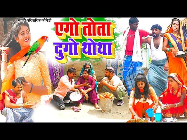 एगो तोता दुगो थोथा [ New Comedy ] Ago Tota Dugo Thotha Comedy ललटेनमा तोता के फ @UdaydoctorBodhgaya