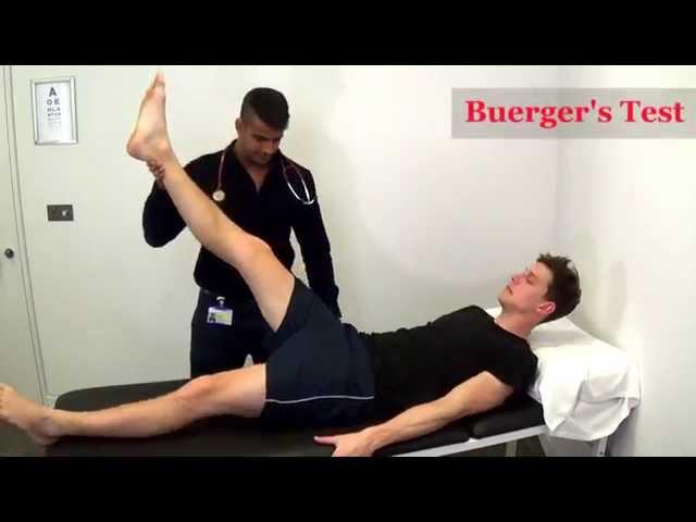 Peripheral Vascular Examination