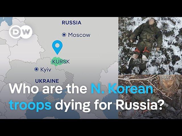 North Korean forces suffering 'mass casualties' on Russian frontlines with Ukraine | DW News