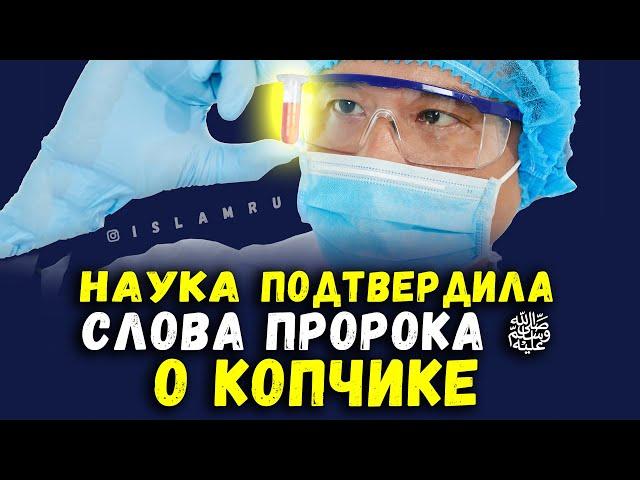 Наука подтвердила слова Пророка ﷺ о копчике