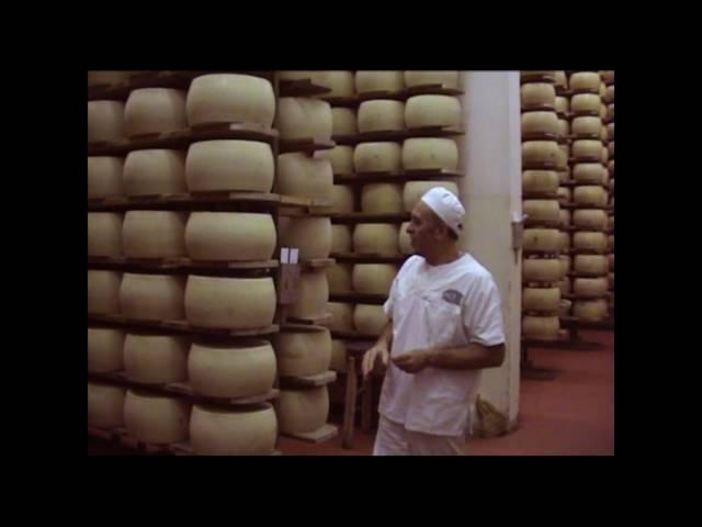 IL PARMIGIANO REGGIANO: 3a PARTE