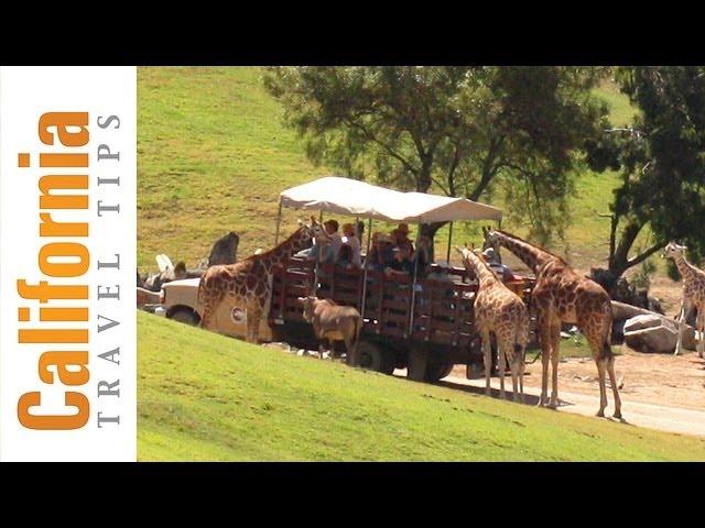 San Diego Zoo Safari Park - Wild Animal Park | California Travel Tips