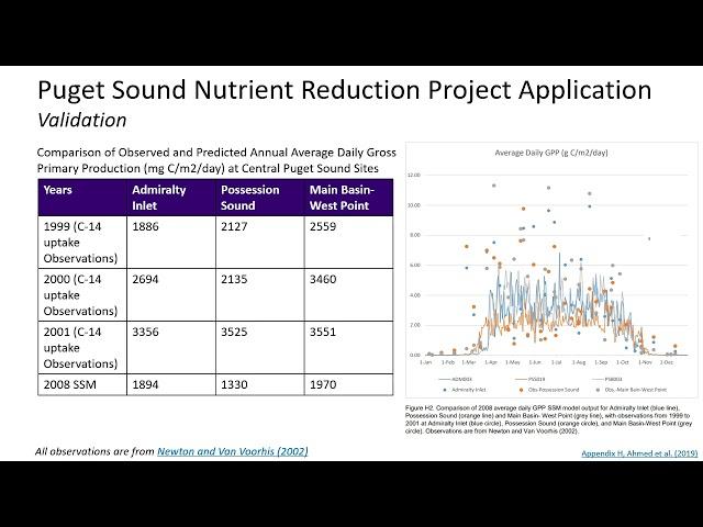 Salish Sea Model | Overview of Phytoplankton and Primary Production dynamics