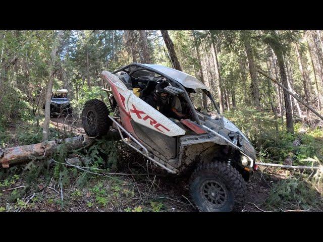 SXS trail ride , Whipsaw , epic mountain views.