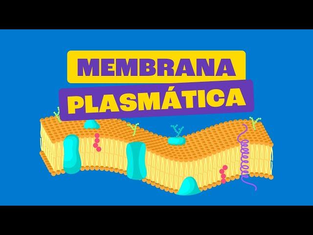 Membrana Plasmática - Toda Matéria