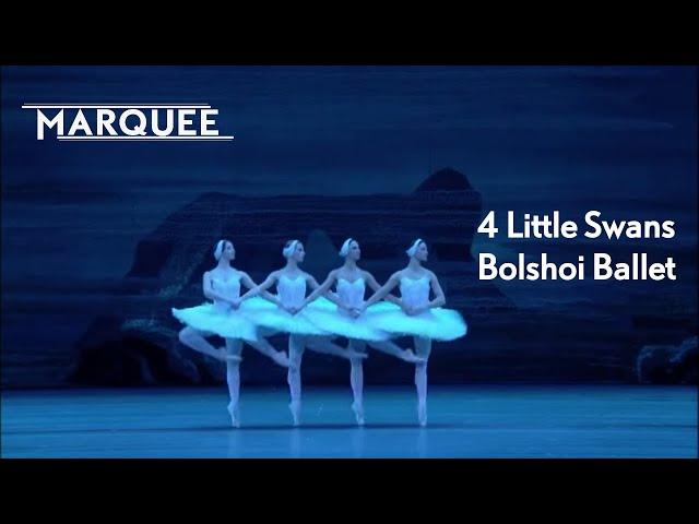 Swan Lake: 4 Little Swans [Bolshoi Ballet]