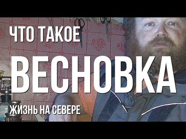 Что такое весновка.  Жизнь на Севере. Моя весновка 2019.