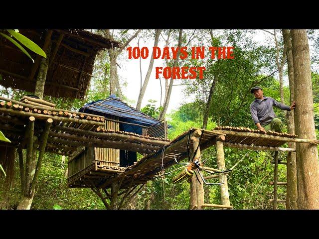 100 days alone to build a shelter in the deep forest and turn the wild forest into a farm