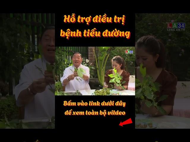HỖ TRỢ ĐIỀU TRỊ BỆNH TIỂU ĐƯỜNG - Lương Y Nguyễn Công Đức