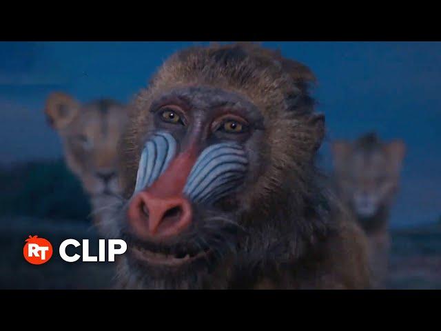 Mufasa: The Lion King Movie Clip - Rafiki's Dreams (2024)