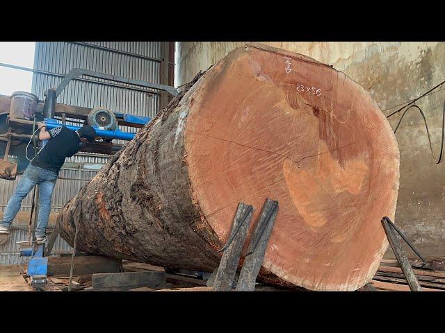 Factory Wood Processing // Incredible Modern Wood Processing Lines