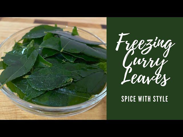Freezing Curry Leaves | Storing Curry Leaves | కరివేపాకు | करी पत्ते