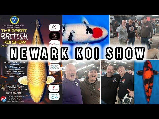 The Great British koi show 2024 (HIGHLIGHTS) #koishow #koipond #Newarkshowground