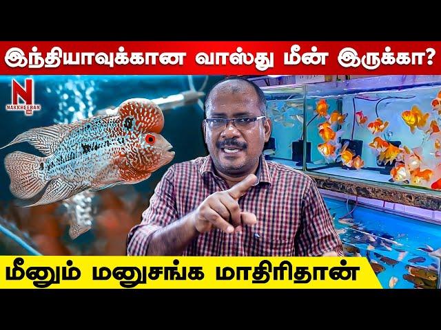 மீன் வாங்குவதற்கு முன் செய்யவேண்டியவை... Flowerhorn Fish | Fish Doctor India | Fish Farm | N 360