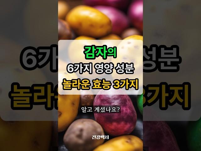감자의 6가지 영양 성분 놀라운 효능 3가지 #건강정보 #건강 #감자 #효능 #영양성분