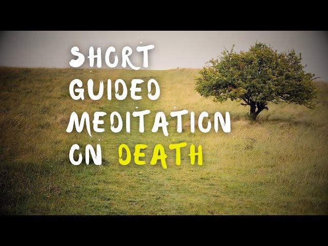 Meditating on Death | On-The-Go Meditation Guided by Brother Phap Huu