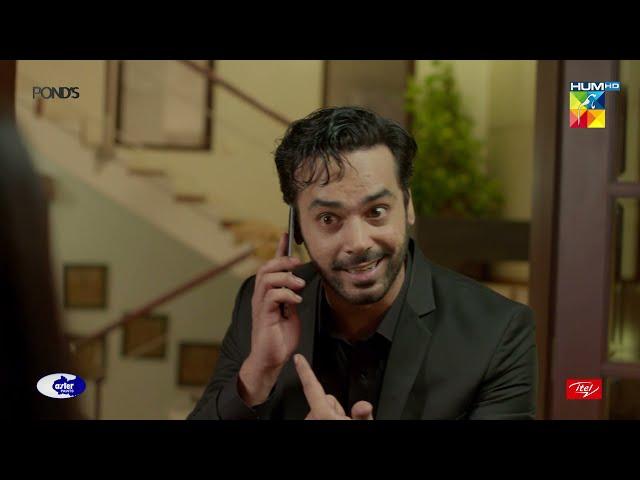 Kya Haal Kartay.. Jo Apni Pehli Bivi Ka Keya Tha ??  | Sarah Khan | Best Moment | #Laapata | HUM TV