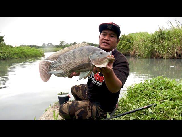 REKOR BARU Mancing ikan Nila Akhir Tahun 2024 dapat Babon semua di sungai liar