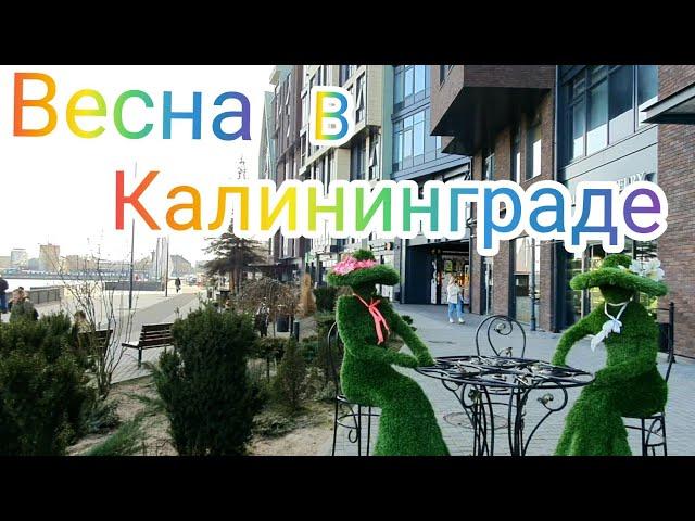 Весна в Калининграде // Набережная Петра великого#калининград#кёнигсберг