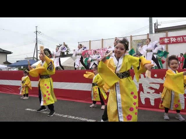 朝霞鳴子一族め組【4K_100Mbps】／一般ブロックA／第21回常陸国YOSAKOI祭り（いばよさ 2日目）