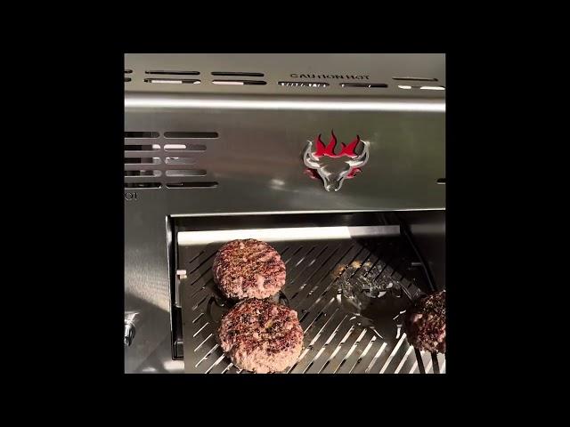 First Cook on the Schwank Infrared Grill