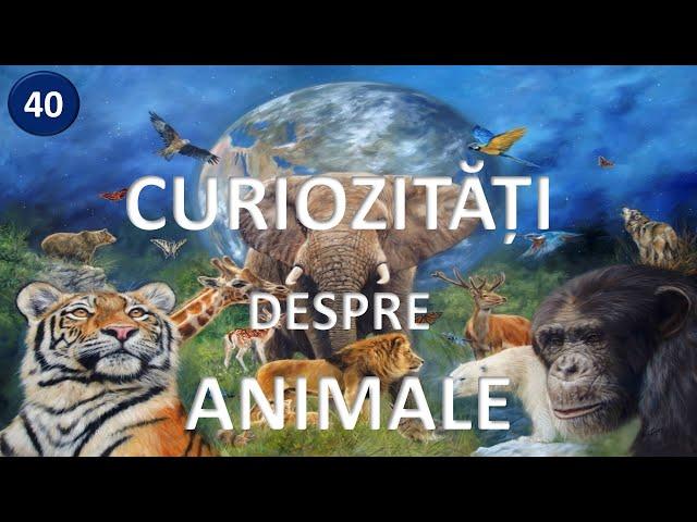 Top 40 curiozitati despre animalele lumii  stiati ca?