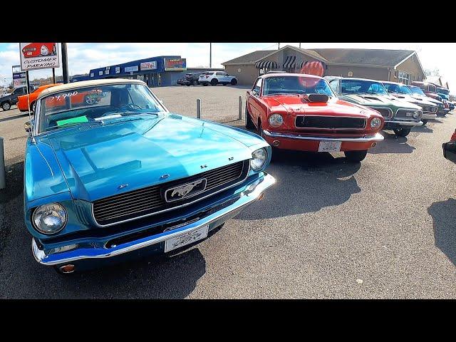 Maple Motors SNEAK PEEK 12/1/24 Lot Walk Classic Cars For Sale