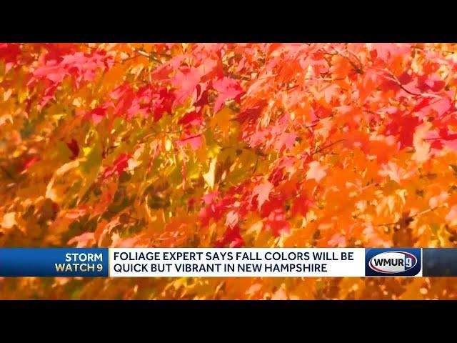 Vibrant foliage season in NH expected this year