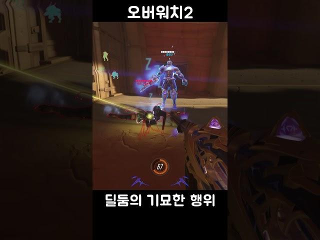 딜러 둠피 버그