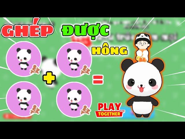 Play Together | Mình Mở Khóa Cưỡi Pet Mới Và Thử Ghép Pet Mới