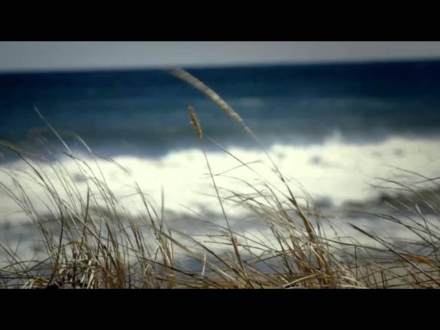 Glass Is Life: Celine Cousteau (English)