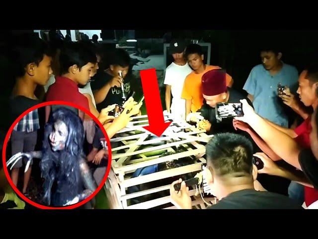  VIRAL 2024 !! WARGA TANGKAP BABI NGEPET YANG BERKELIARAN DI BULAN PUASA