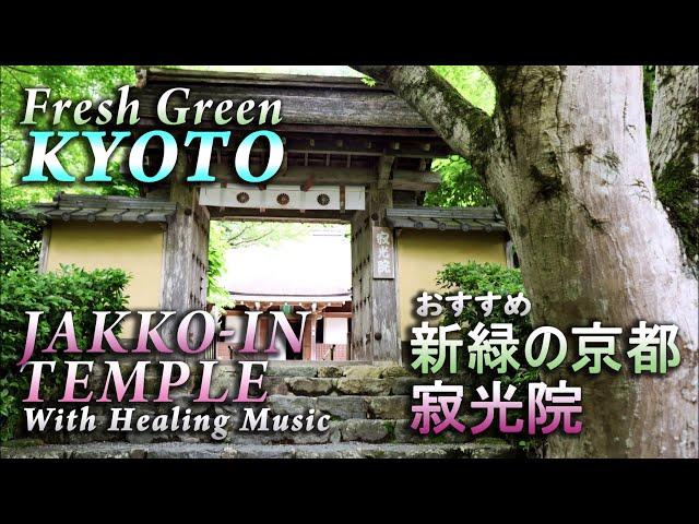 悲劇の衣を纏った尼寺、平家物語の舞台、そして放火...   京都大原寂光院 / Fresh Green KYOTO JAKKO-IN TEMPLE with Healing Music