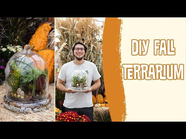 DIY Fall Plant Terrarium (Easy)