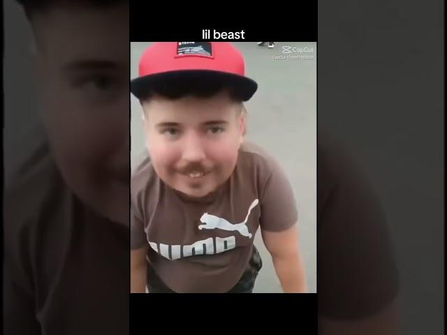 Lil beast #mrbeast #funny #memes