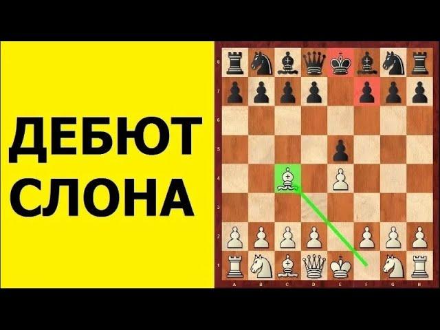 Шахматы для начинающих. ДЕБЮТ СЛОНА. Школа шахмат d4-d5.