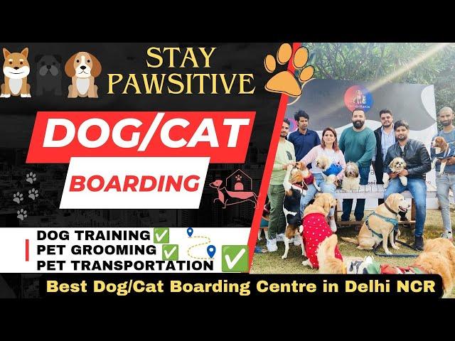 Best Dog/Cat Boarding Centre in Delhi NCR | Grooming | Training | Pet Day Care | Stay Pawsitive |