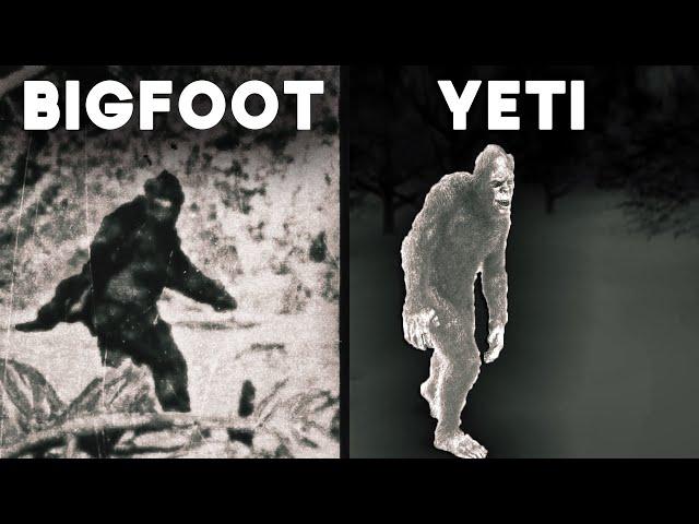 The Bigfoot & Yeti Files: Decades of Encounters and Investigations | Documentary