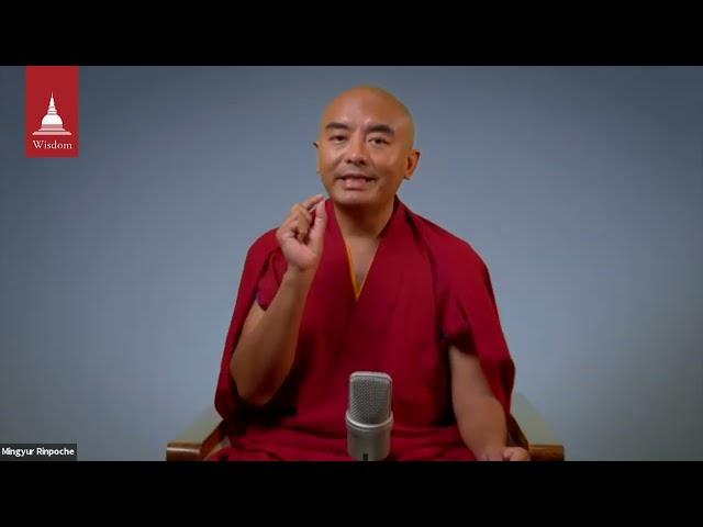 Mingyur Rinpoche on the difference between Dzogchen and Mahamudra