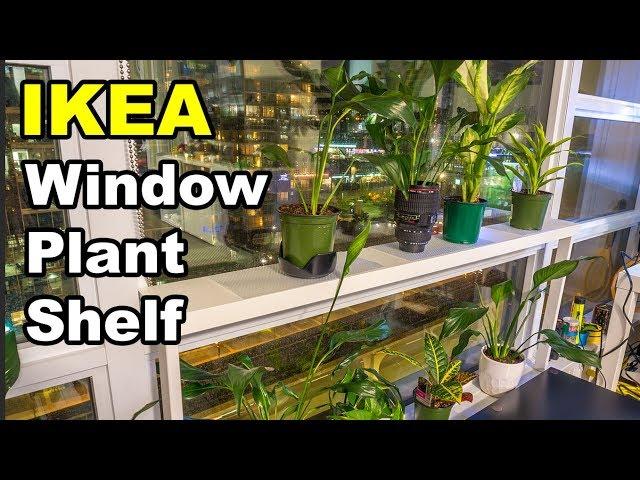 Window Sill Ledge shelf for plants