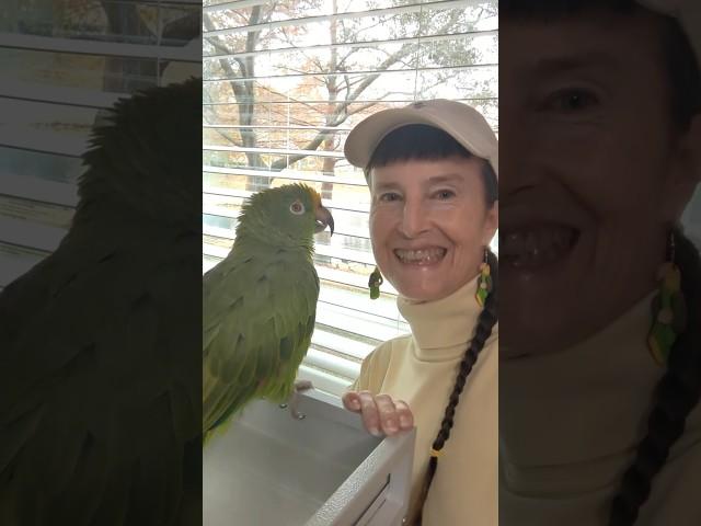 Freedom the Parrot, Karen's Amazon Earrings from The Oasis Sanctuary, Macaw Pix National Geographic!