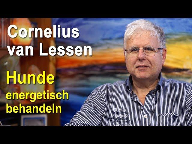 Hunde energetisch behandeln | Cornelius van Lessen