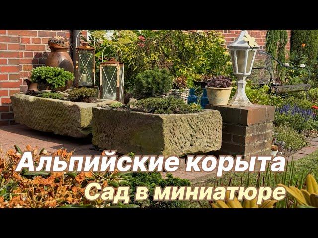 Альпийские корыта в моём саду — идеи, грунт, посадка - пошагово и с любовью
