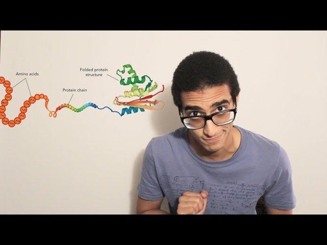 Protein synthesis (Transcription and Translation)