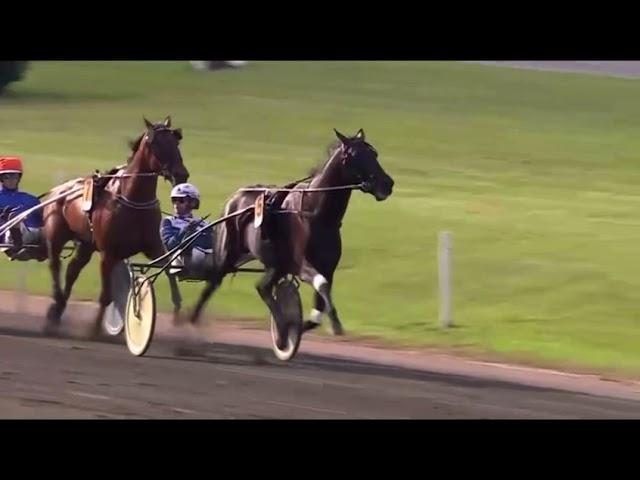 Dansk Trav Derby 2024 - Icebreaker & Magnus A Djuse 1.13,9 3000m