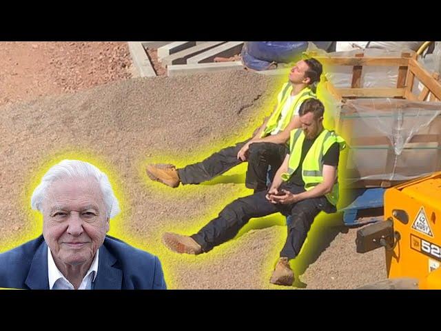 The Best of Attenborough on Site  
