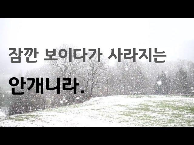 잠깐 보이다가 사라지는 안개니라./거리설교(철원성경침례교회)